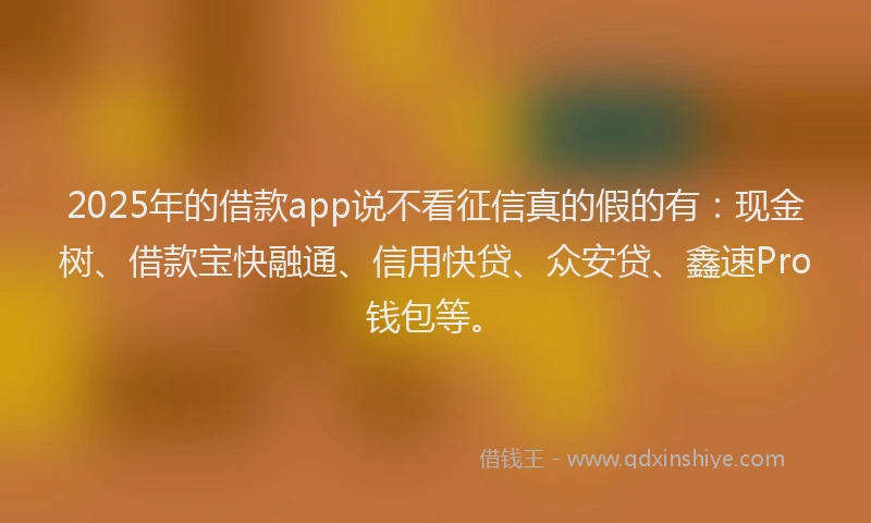2025年的借款app说不看征信真的假的有：现金树、借款宝快融通、信用快贷、众安贷、鑫速Pro钱包等。