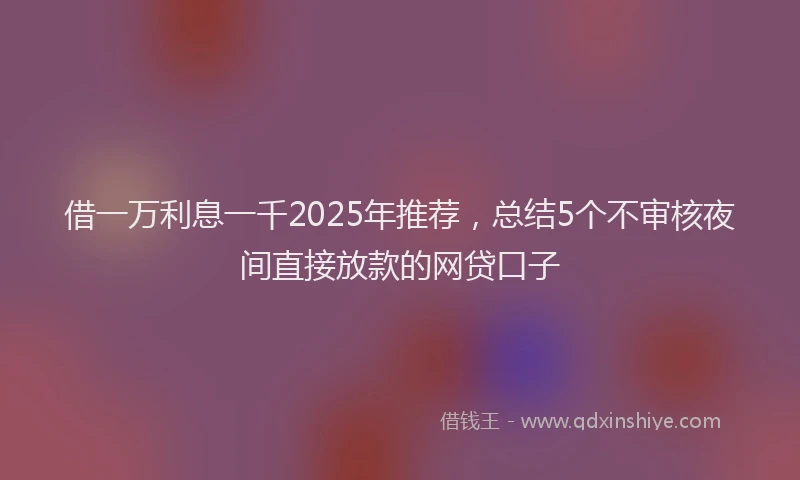 借一万利息一千2025年推荐，总结5个不审核夜间直接放款的网贷口子