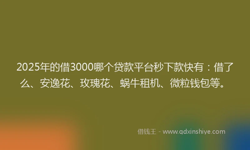 2025年的借3000哪个贷款平台秒下款快有：借了么、安逸花、玫瑰花、蜗牛租机、微粒钱包等。