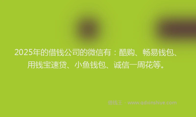 2025年的借钱公司的微信有：酷购、畅易钱包、用钱宝速贷、小鱼钱包、诚信一周花等。