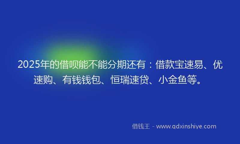 2025年的借呗能不能分期还有：借款宝速易、优速购、有钱钱包、恒瑞速贷、小金鱼等。