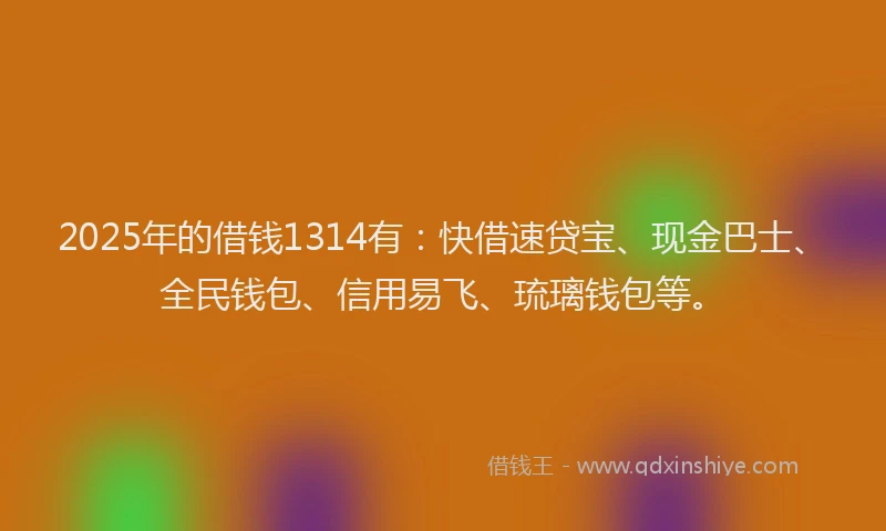 2025年的借钱1314有：快借速贷宝、现金巴士、全民钱包、信用易飞、琉璃钱包等。