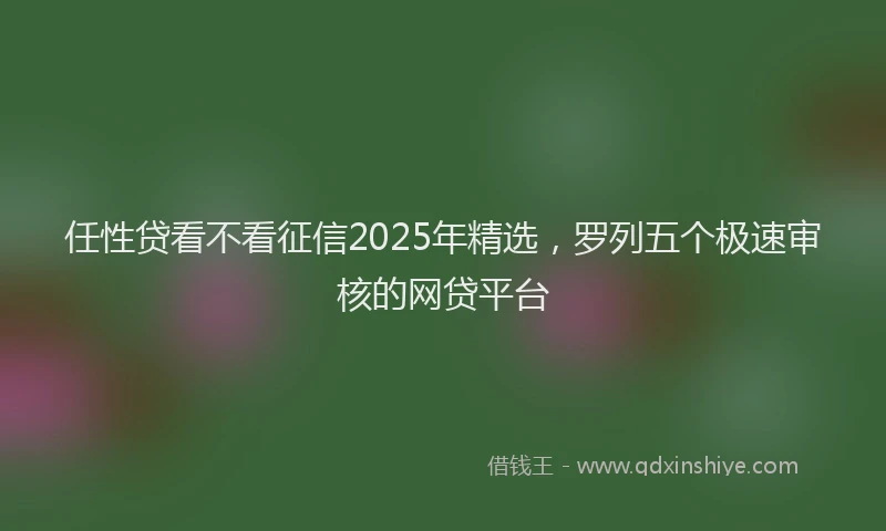 任性贷看不看征信2025年精选，罗列五个极速审核的网贷平台