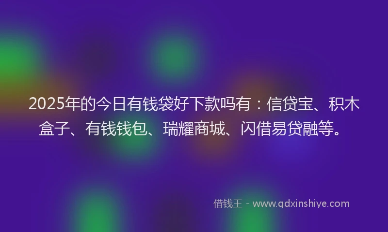 2025年的今日有钱袋好下款吗有：信贷宝、积木盒子、有钱钱包、瑞耀商城、闪借易贷融等。