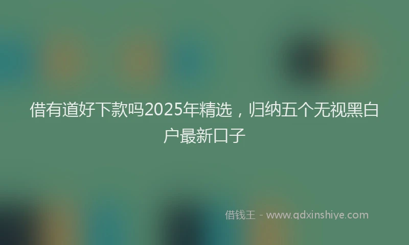 借有道好下款吗2025年精选，归纳五个无视黑白户最新口子