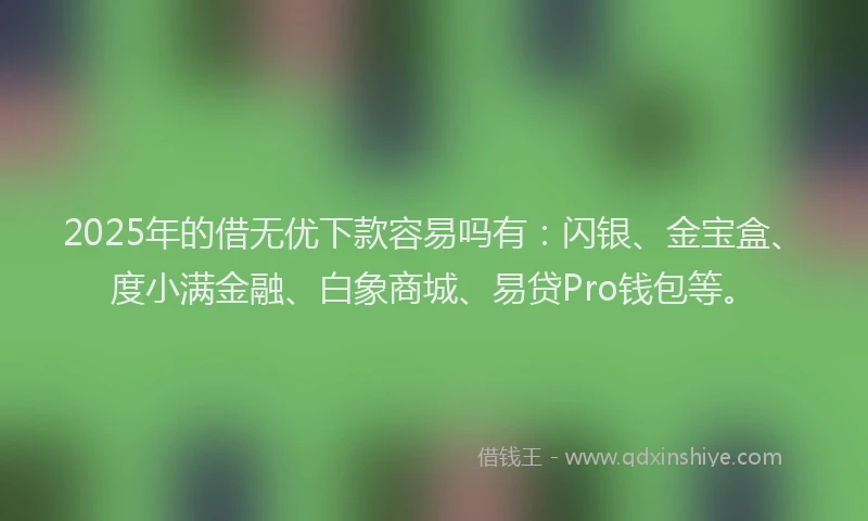 2025年的借无优下款容易吗有：闪银、金宝盒、度小满金融、白象商城、易贷Pro钱包等。