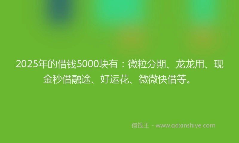 2025年的借钱5000块有：微粒分期、龙龙用、现金秒借融途、好运花、微微快借等。