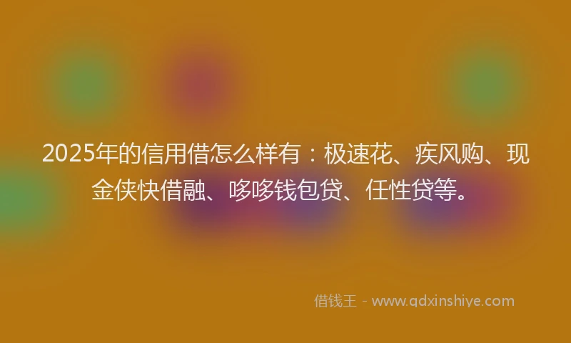 2025年的信用借怎么样有：极速花、疾风购、现金侠快借融、哆哆钱包贷、任性贷等。