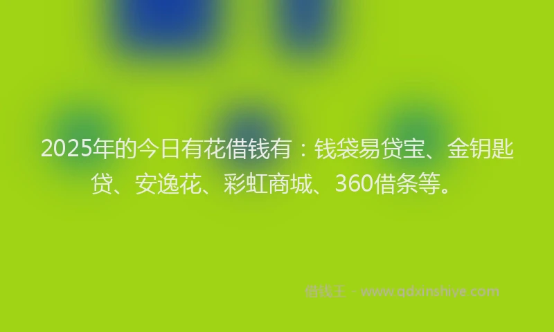 2025年的今日有花借钱有：钱袋易贷宝、金钥匙贷、安逸花、彩虹商城、360借条等。