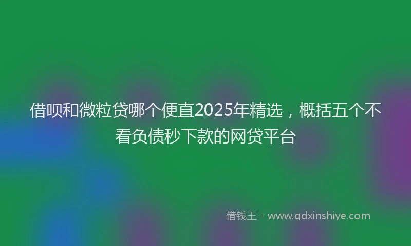 借呗和微粒贷哪个便直2025年精选，概括五个不看负债秒下款的网贷平台