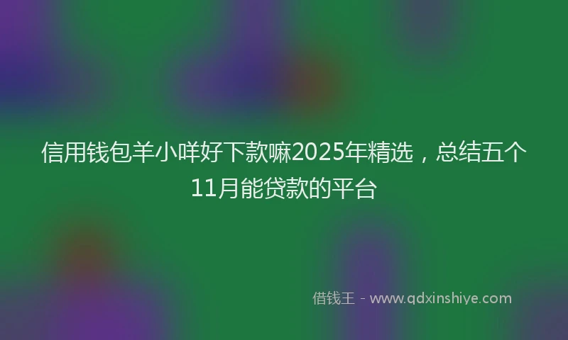 信用钱包羊小咩好下款嘛2025年精选，总结五个11月能贷款的平台