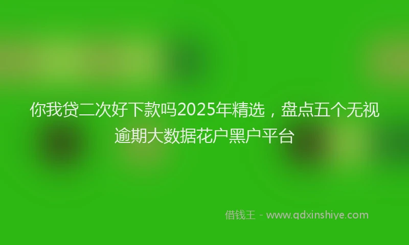 你我贷二次好下款吗2025年精选，盘点五个无视逾期大数据花户黑户平台