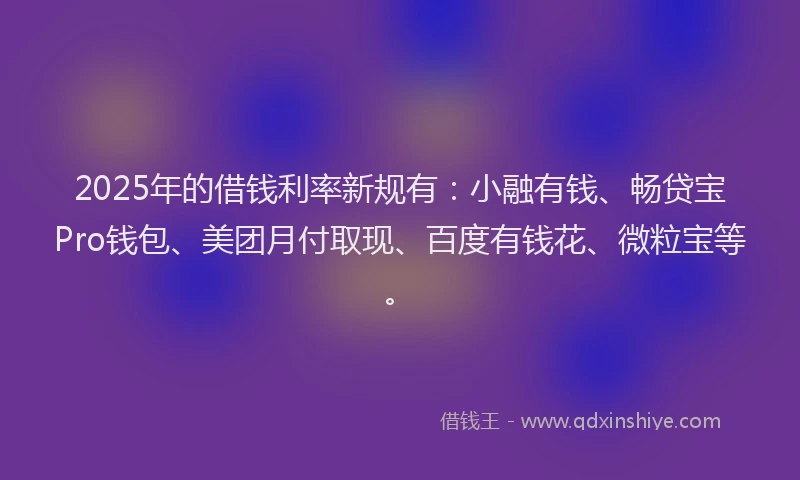 2025年的借钱利率新规有：小融有钱、畅贷宝Pro钱包、美团月付取现、百度有钱花、微粒宝等。