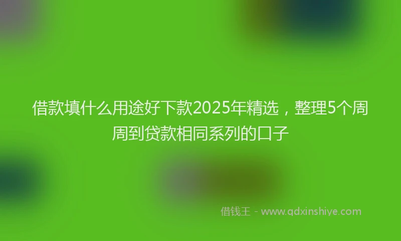 借款填什么用途好下款2025年精选，整理5个周周到贷款相同系列的口子