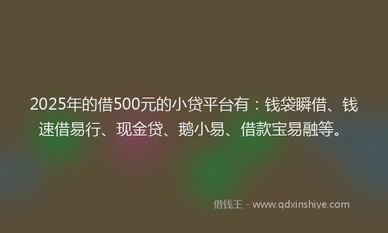 2025年的借500元的小贷平台有：钱袋瞬借、钱速借易行、现金贷、鹅小易、借款宝易融等。