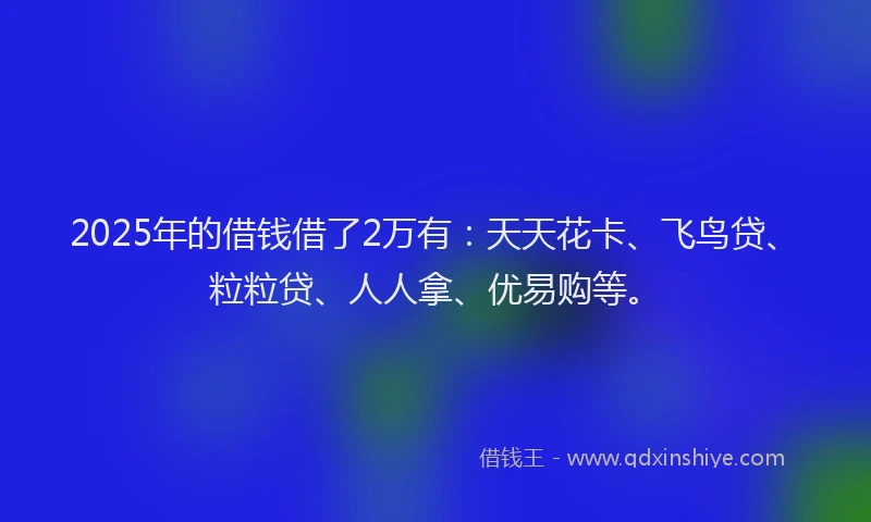 2025年的借钱借了2万有：天天花卡、飞鸟贷、粒粒贷、人人拿、优易购等。