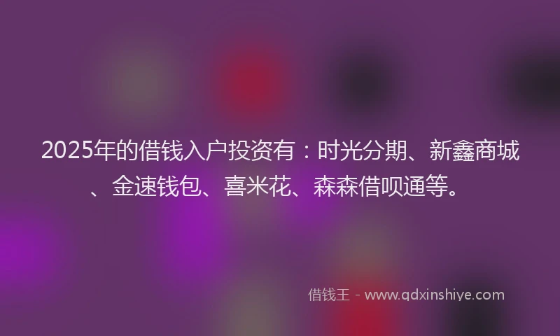 2025年的借钱入户投资有：时光分期、新鑫商城、金速钱包、喜米花、森森借呗通等。