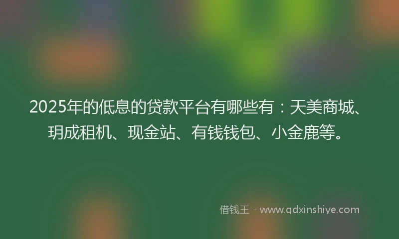 2025年的低息的贷款平台有哪些有：天美商城、玥成租机、现金站、有钱钱包、小金鹿等。