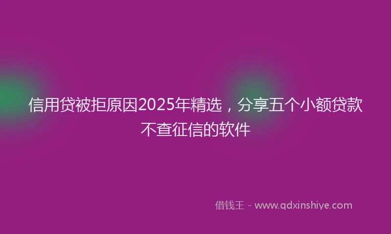 信用贷被拒原因2025年精选，分享五个小额贷款不查征信的软件