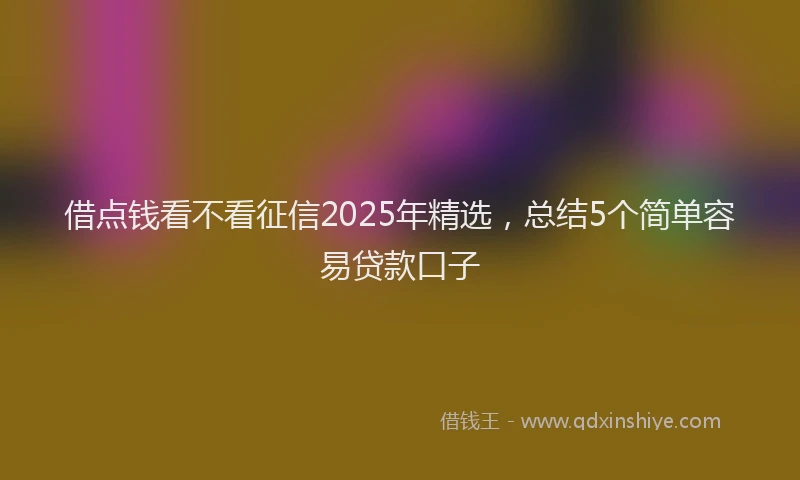 借点钱看不看征信2025年精选，总结5个简单容易贷款口子