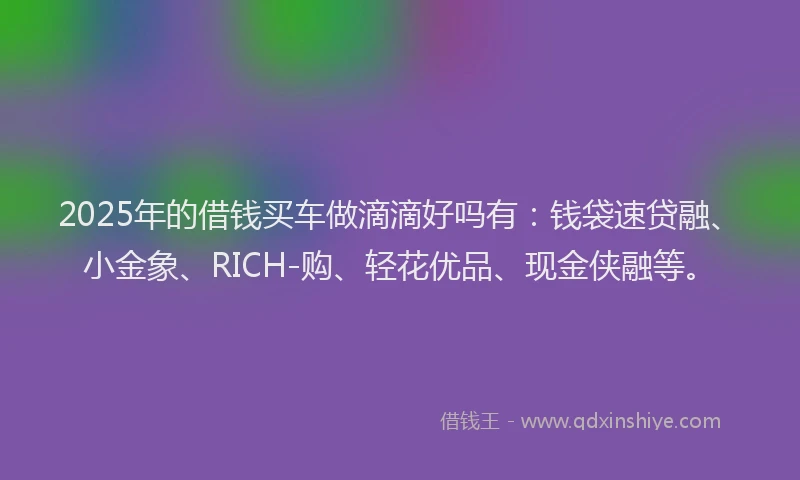 2025年的借钱买车做滴滴好吗有：钱袋速贷融、小金象、RICH-购、轻花优品、现金侠融等。