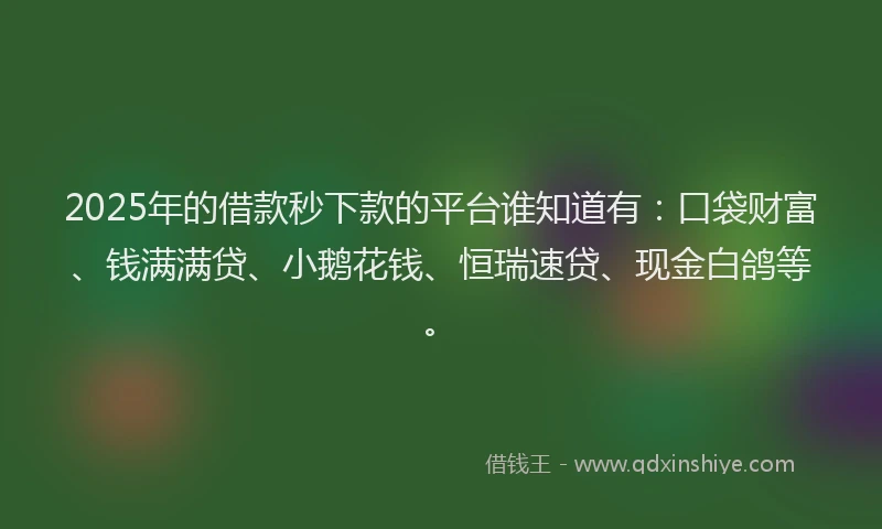2025年的借款秒下款的平台谁知道有：口袋财富、钱满满贷、小鹅花钱、恒瑞速贷、现金白鸽等。