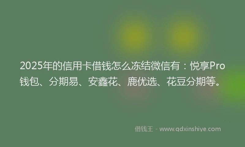 2025年的信用卡借钱怎么冻结微信有：悦享Pro钱包、分期易、安鑫花、鹿优选、花豆分期等。