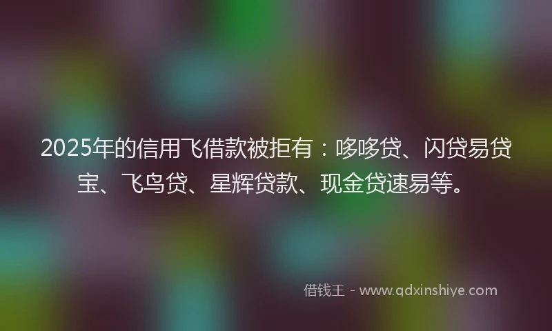 2025年的信用飞借款被拒有：哆哆贷、闪贷易贷宝、飞鸟贷、星辉贷款、现金贷速易等。