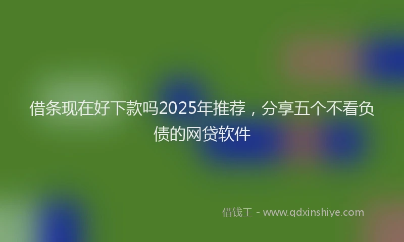 借条现在好下款吗2025年推荐，分享五个不看负债的网贷软件