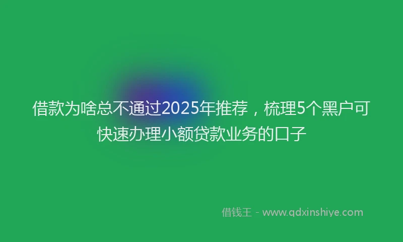 借款为啥总不通过2025年推荐，梳理5个黑户可快速办理小额贷款业务的口子
