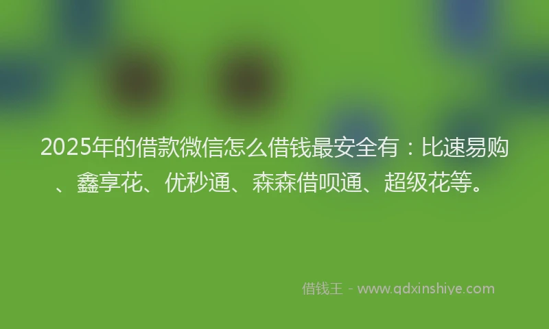 2025年的借款微信怎么借钱最安全有：比速易购、鑫享花、优秒通、森森借呗通、超级花等。