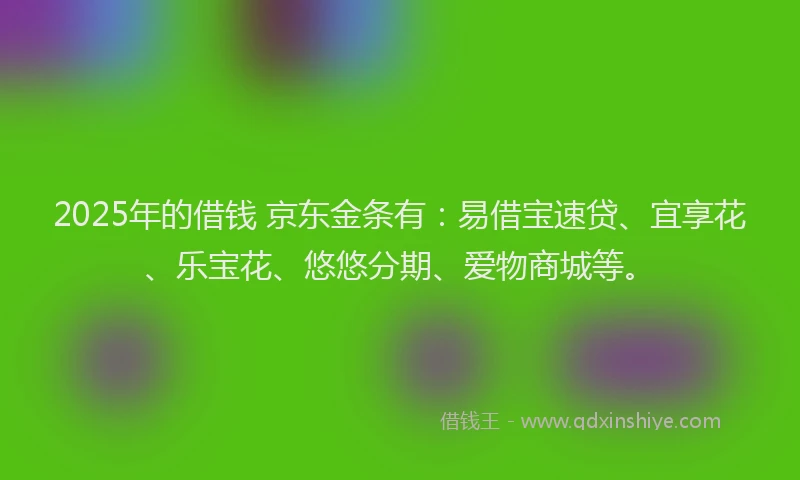 2025年的借钱 京东金条有：易借宝速贷、宜享花、乐宝花、悠悠分期、爱物商城等。
