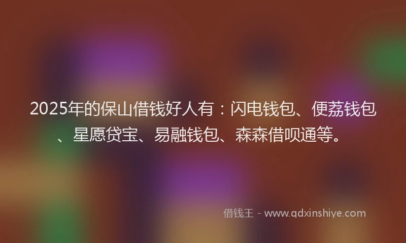 2025年的保山借钱好人有：闪电钱包、便荔钱包、星愿贷宝、易融钱包、森森借呗通等。