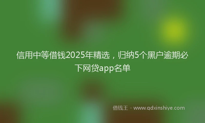 信用中等借钱2025年精选，归纳5个黑户逾期必下网贷app名单