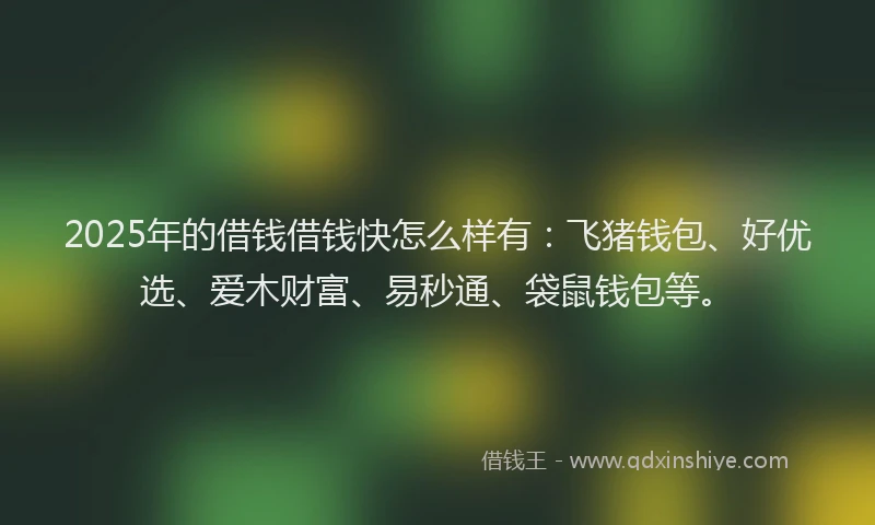 2025年的借钱借钱快怎么样有：飞猪钱包、好优选、爱木财富、易秒通、袋鼠钱包等。