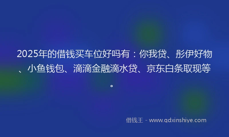 2025年的借钱买车位好吗有：你我贷、彤伊好物、小鱼钱包、滴滴金融滴水贷、京东白条取现等。
