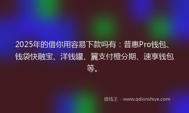 2025年的借你用容易下款吗有：普惠Pro钱包、钱袋快融宝、洋钱罐、翼支付橙分期、速享钱包等。