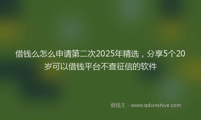 借钱么怎么申请第二次2025年精选，分享5个20岁可以借钱平台不查征信的软件