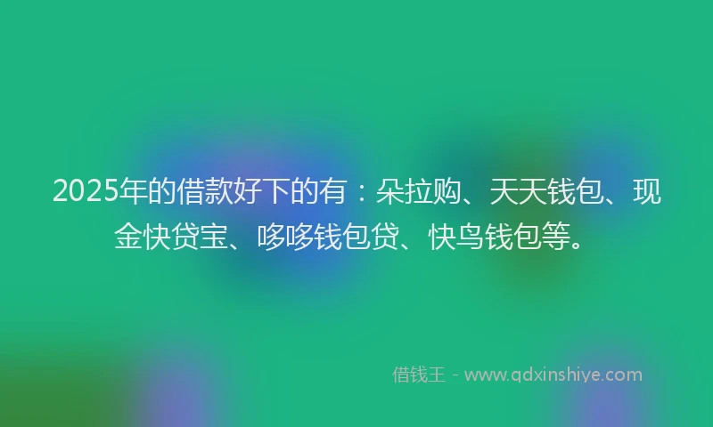 2025年的借款好下的有：朵拉购、天天钱包、现金快贷宝、哆哆钱包贷、快鸟钱包等。