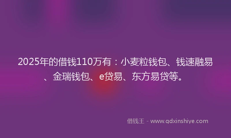 2025年的借钱110万有：小麦粒钱包、钱速融易、金瑞钱包、e贷易、东方易贷等。