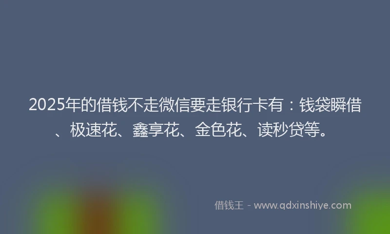 2025年的借钱不走微信要走银行卡有：钱袋瞬借、极速花、鑫享花、金色花、读秒贷等。