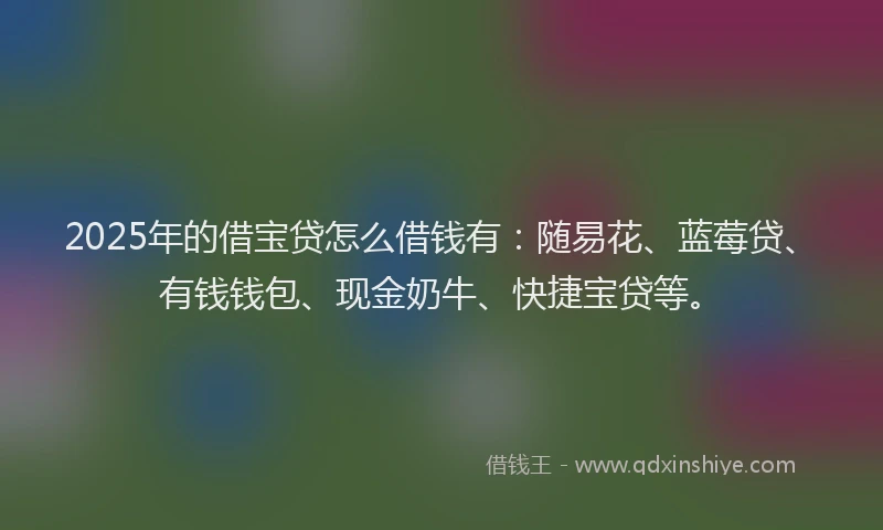 2025年的借宝贷怎么借钱有：随易花、蓝莓贷、有钱钱包、现金奶牛、快捷宝贷等。