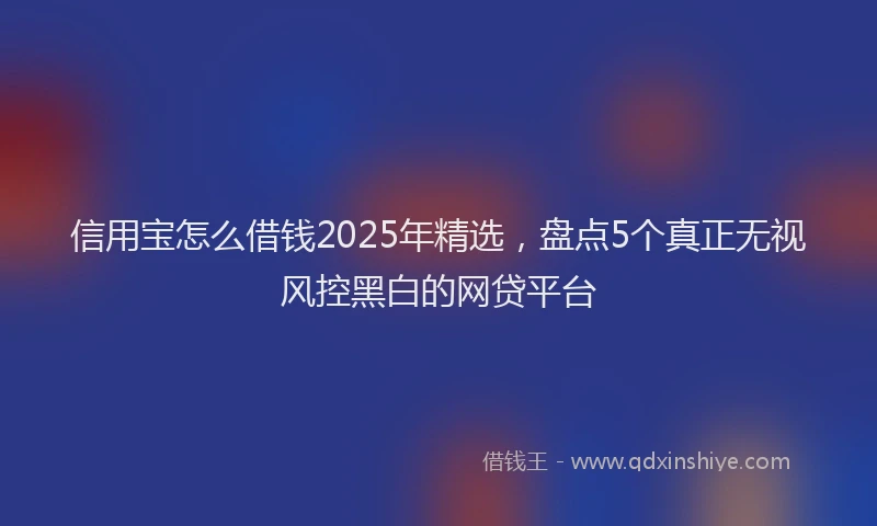 信用宝怎么借钱2025年精选，盘点5个真正无视风控黑白的网贷平台
