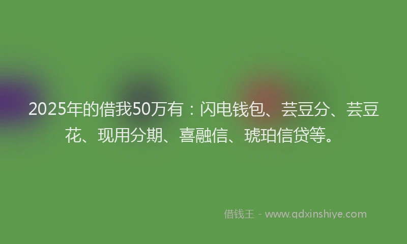 2025年的借我50万有：闪电钱包、芸豆分、芸豆花、现用分期、喜融信、琥珀信贷等。