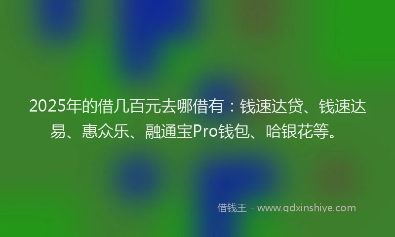 2025年的借几百元去哪借有：钱速达贷、钱速达易、惠众乐、融通宝Pro钱包、哈银花等。