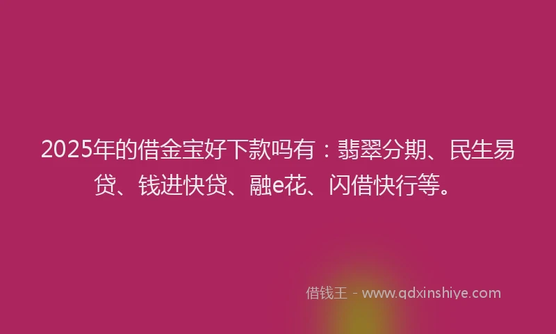 2025年的借金宝好下款吗有：翡翠分期、民生易贷、钱进快贷、融e花、闪借快行等。