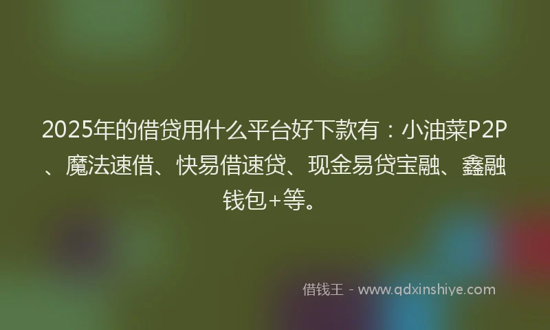 2025年的借贷用什么平台好下款有：小油菜P2P、魔法速借、快易借速贷、现金易贷宝融、鑫融钱包+等。