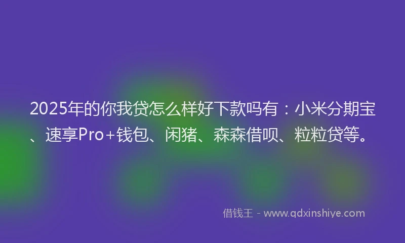 2025年的你我贷怎么样好下款吗有：小米分期宝、速享Pro+钱包、闲猪、森森借呗、粒粒贷等。