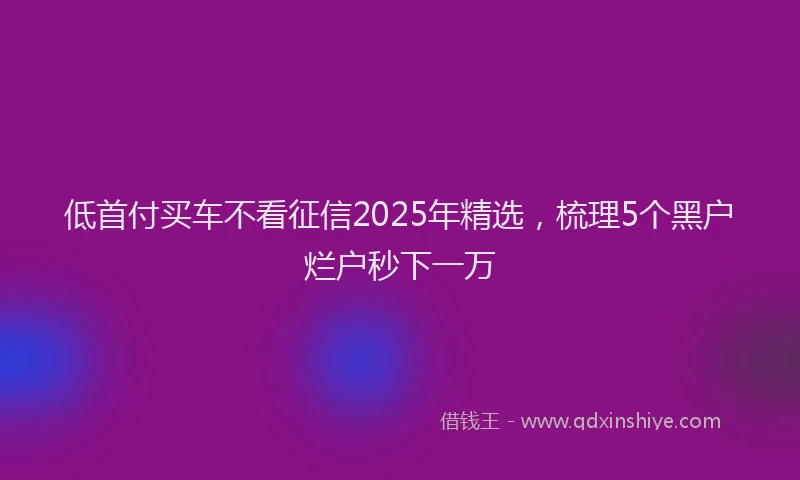 低首付买车不看征信2025年精选，梳理5个黑户烂户秒下一万
