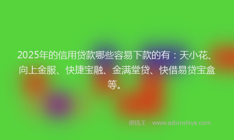 2025年的信用贷款哪些容易下款的有：天小花、向上金服、快捷宝融、金满堂贷、快借易贷宝盒等。